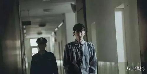 博士吃瓜娱乐圈,揭秘娱乐圈背后的秘密与真相